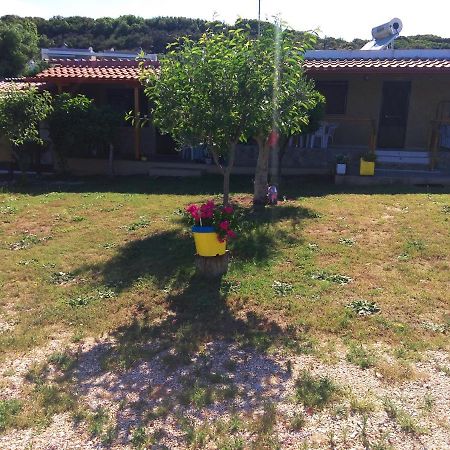 Apartmán Farma Giannis Sarti Exteriér fotografie
