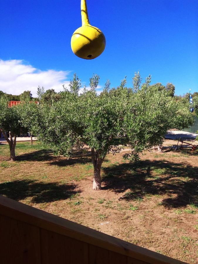 Apartmán Farma Giannis Sarti Exteriér fotografie