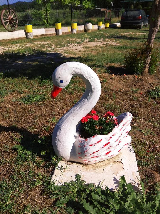 Apartmán Farma Giannis Sarti Exteriér fotografie